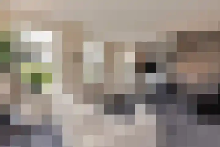 Kerkweg 5 Kootwijkerbroek thumbnail 12