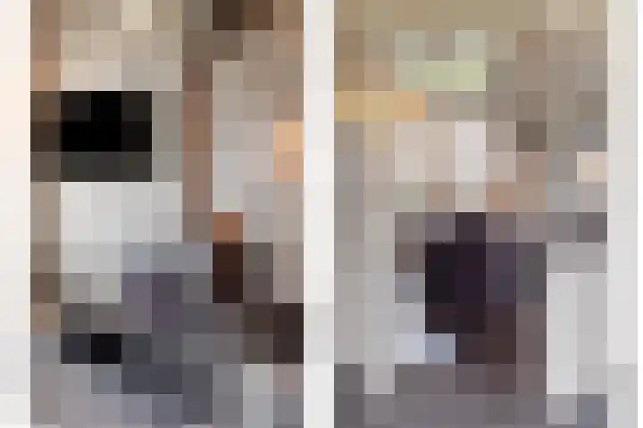 Kerkweg 5 Kootwijkerbroek thumbnail 15