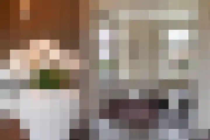 Kerkweg 5 Kootwijkerbroek thumbnail 18