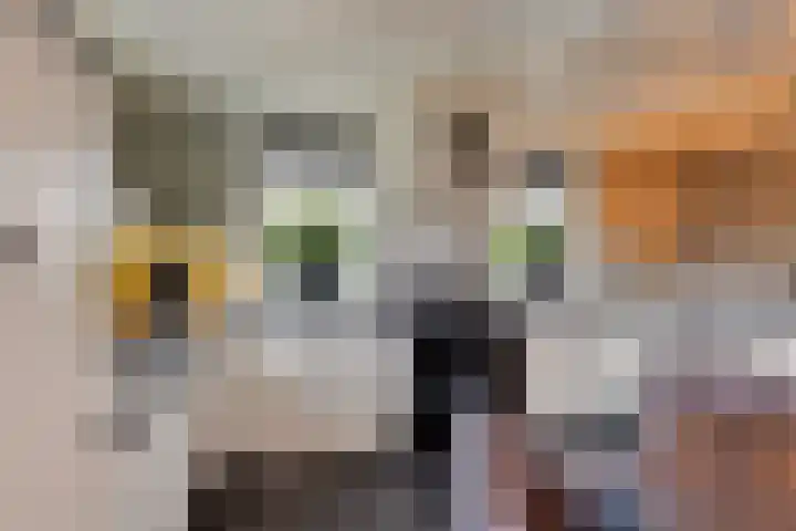 Kerkweg 5 Kootwijkerbroek thumbnail 19
