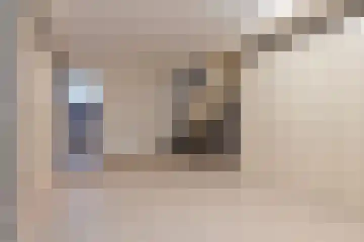 Kerkweg 5 Kootwijkerbroek thumbnail 32