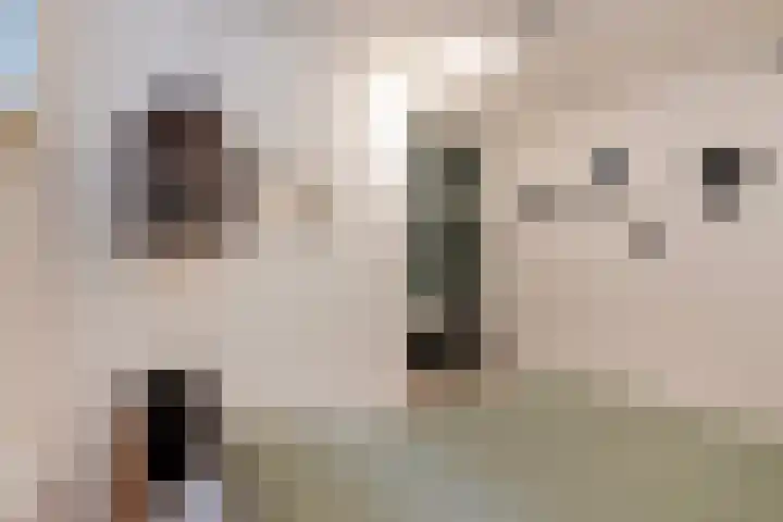 Kerkweg 5 Kootwijkerbroek thumbnail 34