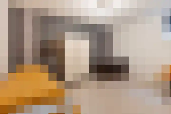 Kerkweg 5 Kootwijkerbroek thumbnail 36