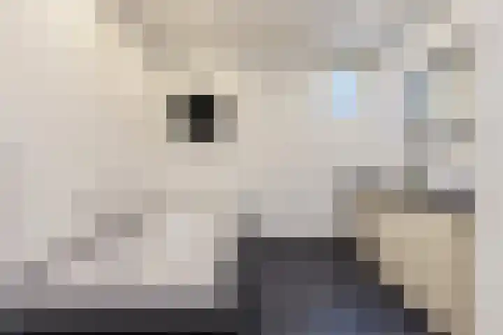 Kerkweg 5 Kootwijkerbroek thumbnail 38