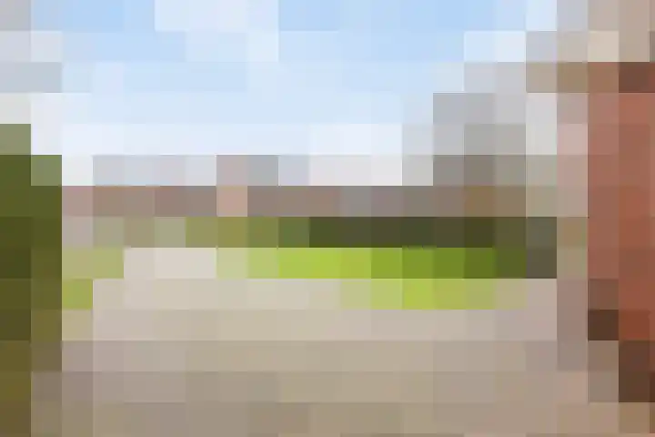 Kerkweg 5 Kootwijkerbroek thumbnail 9