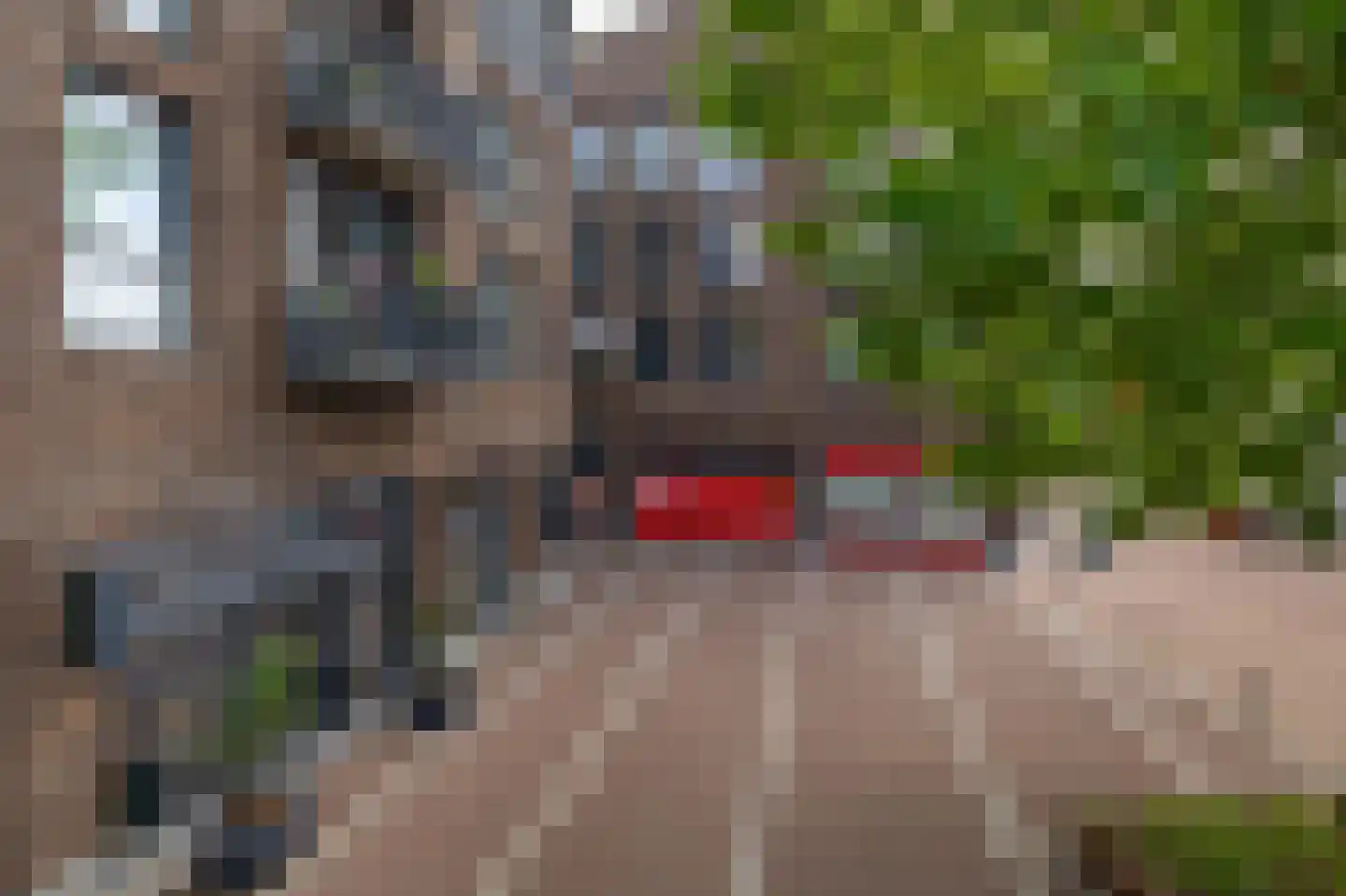 Kerkweg 5 Pijnacker thumbnail 34