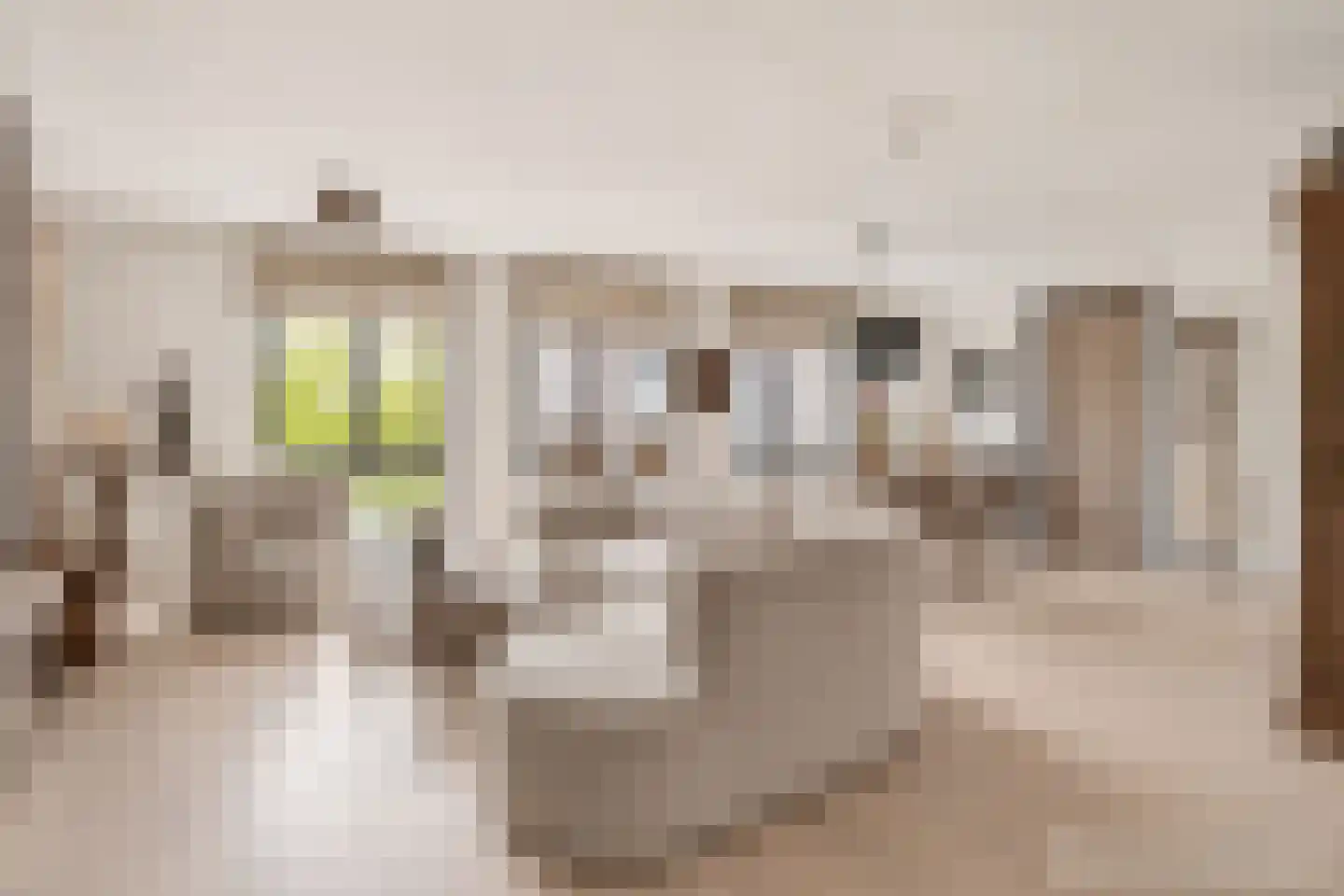 Kerkweg 5 Pijnacker thumbnail 5