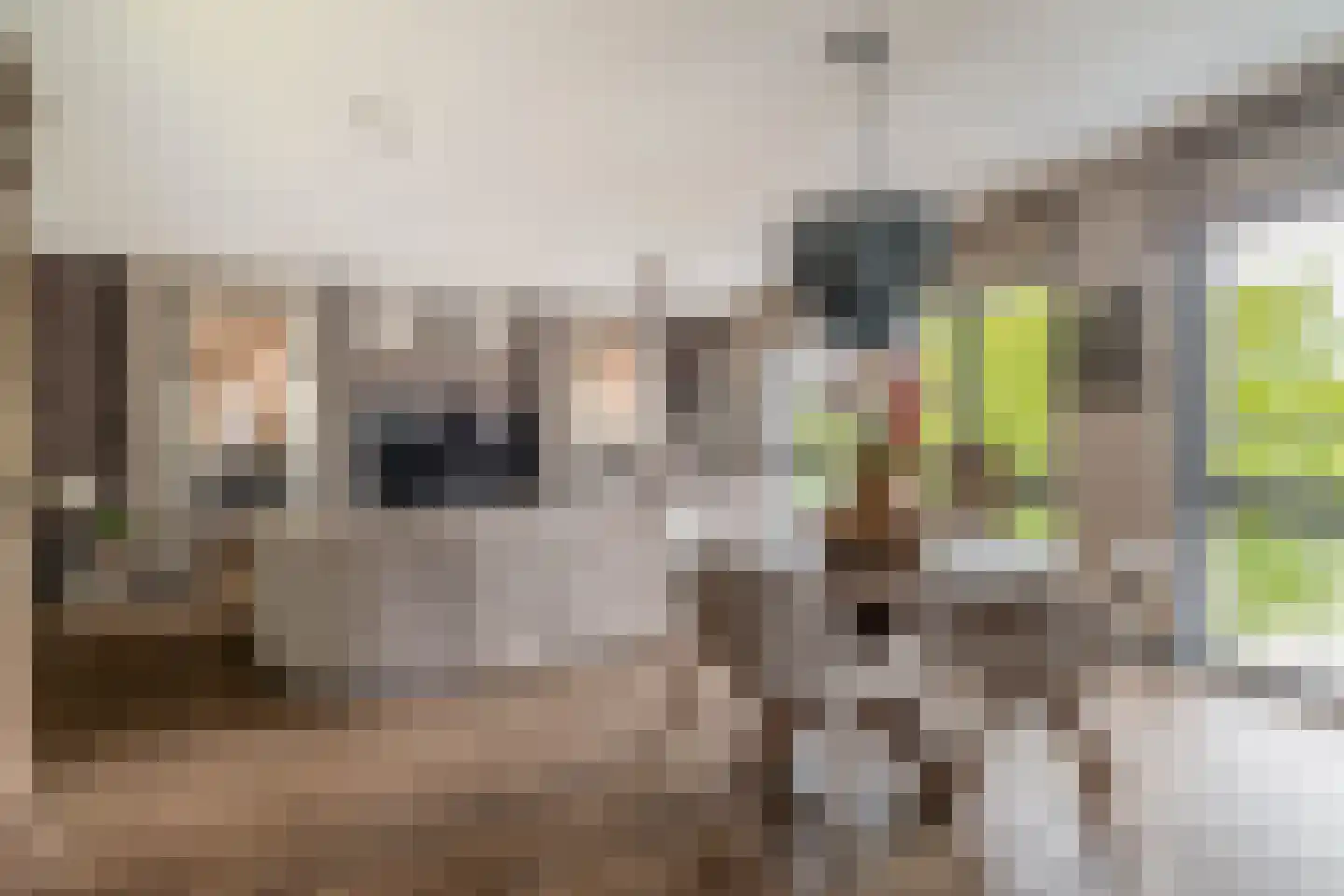 Kerkweg 5 Pijnacker thumbnail 5