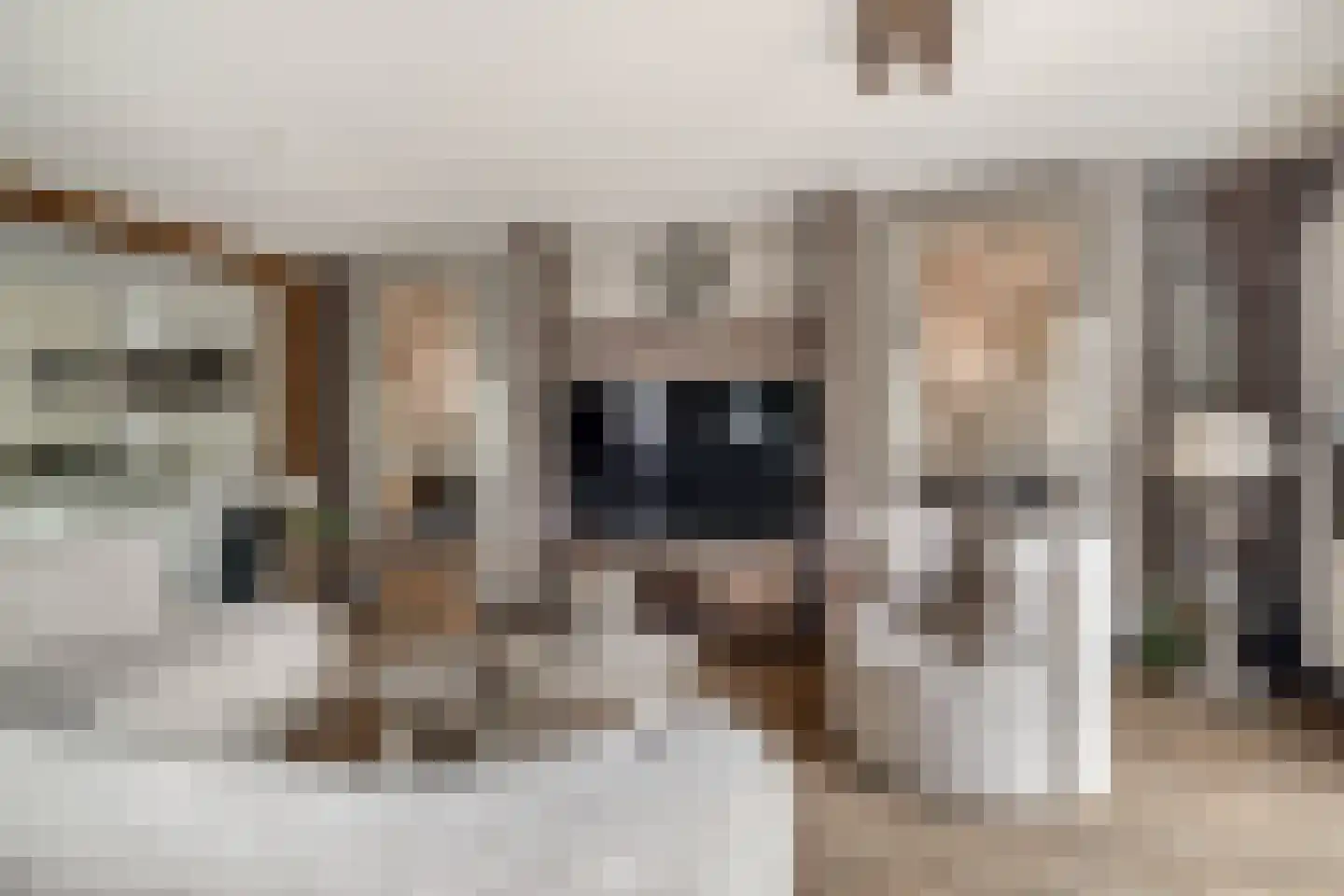 Kerkweg 5 Pijnacker thumbnail 8