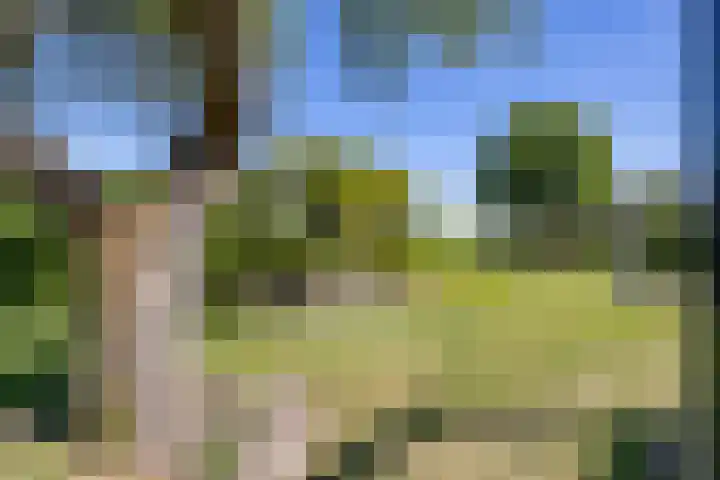 Kerkweg 5 Yde thumbnail 12