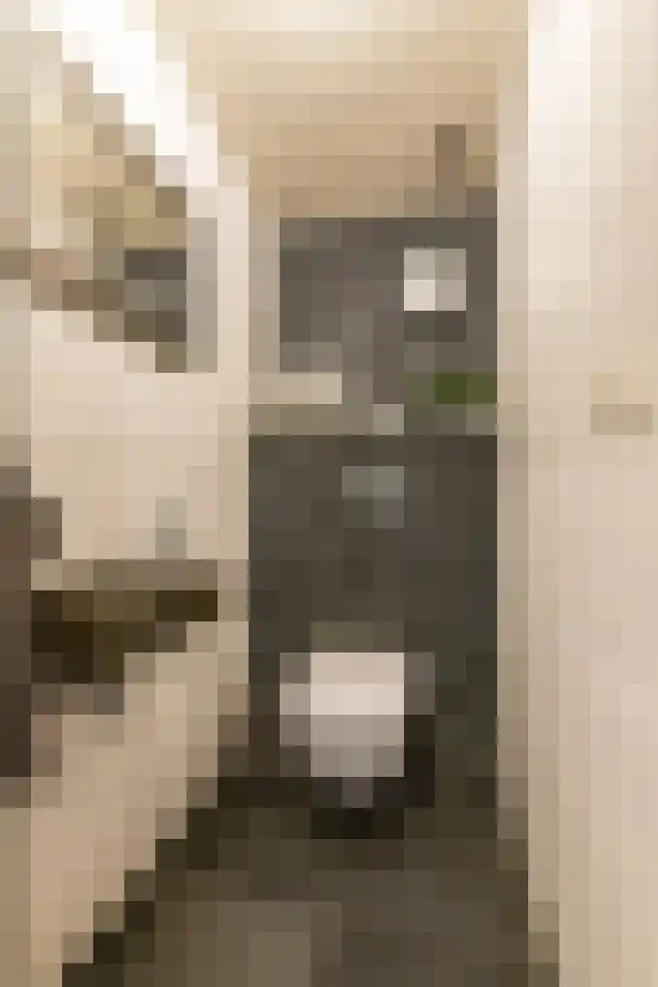 Kerkweg 5 Yde thumbnail 36