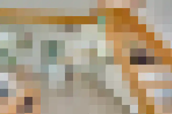 Kerkweg 5 Zijderveld thumbnail 16