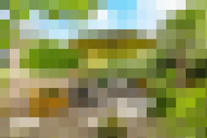 Kerkweg 5 Zijderveld thumbnail 31