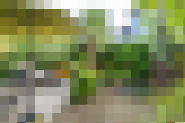 Kerkweg 5 Zijderveld thumbnail 32