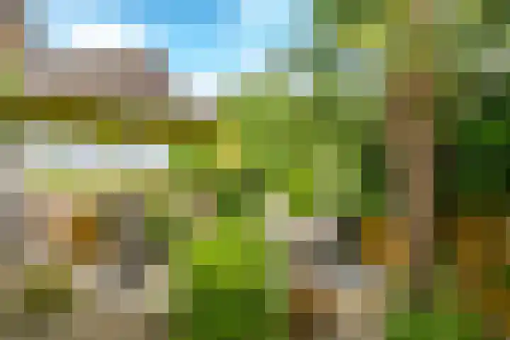Kerkweg 5 Zijderveld thumbnail 34