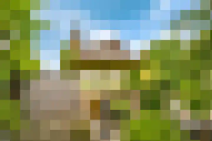Kerkweg 5 Zijderveld thumbnail 35