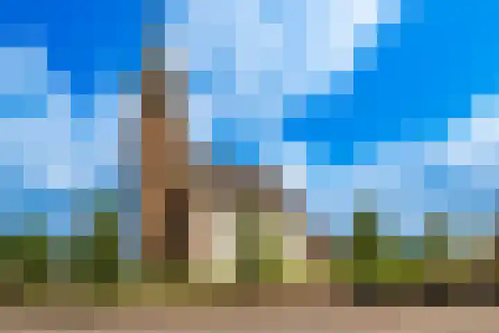 Kerkweg 5 Zijderveld thumbnail 41