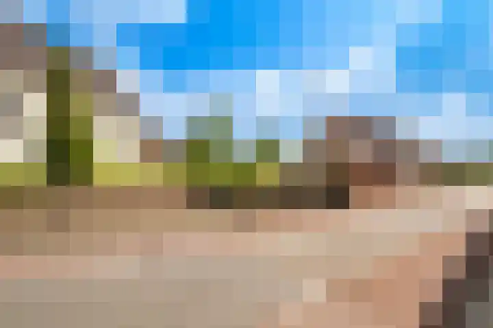 Kerkweg 5 Zijderveld thumbnail 42