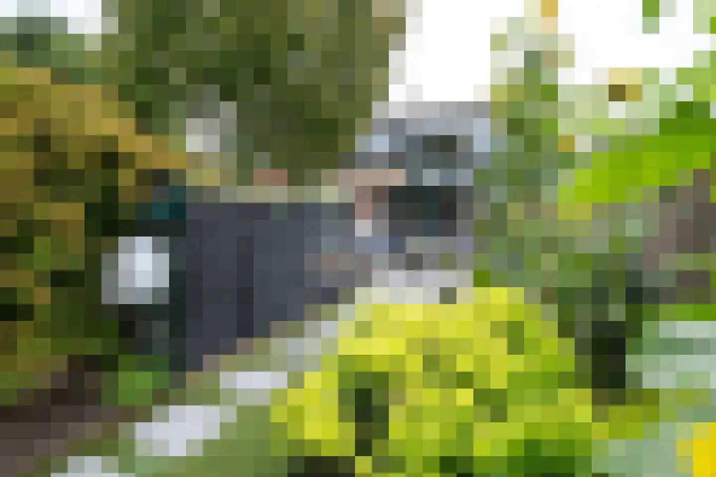 Kerkweg 50 Ridderkerk thumbnail 14