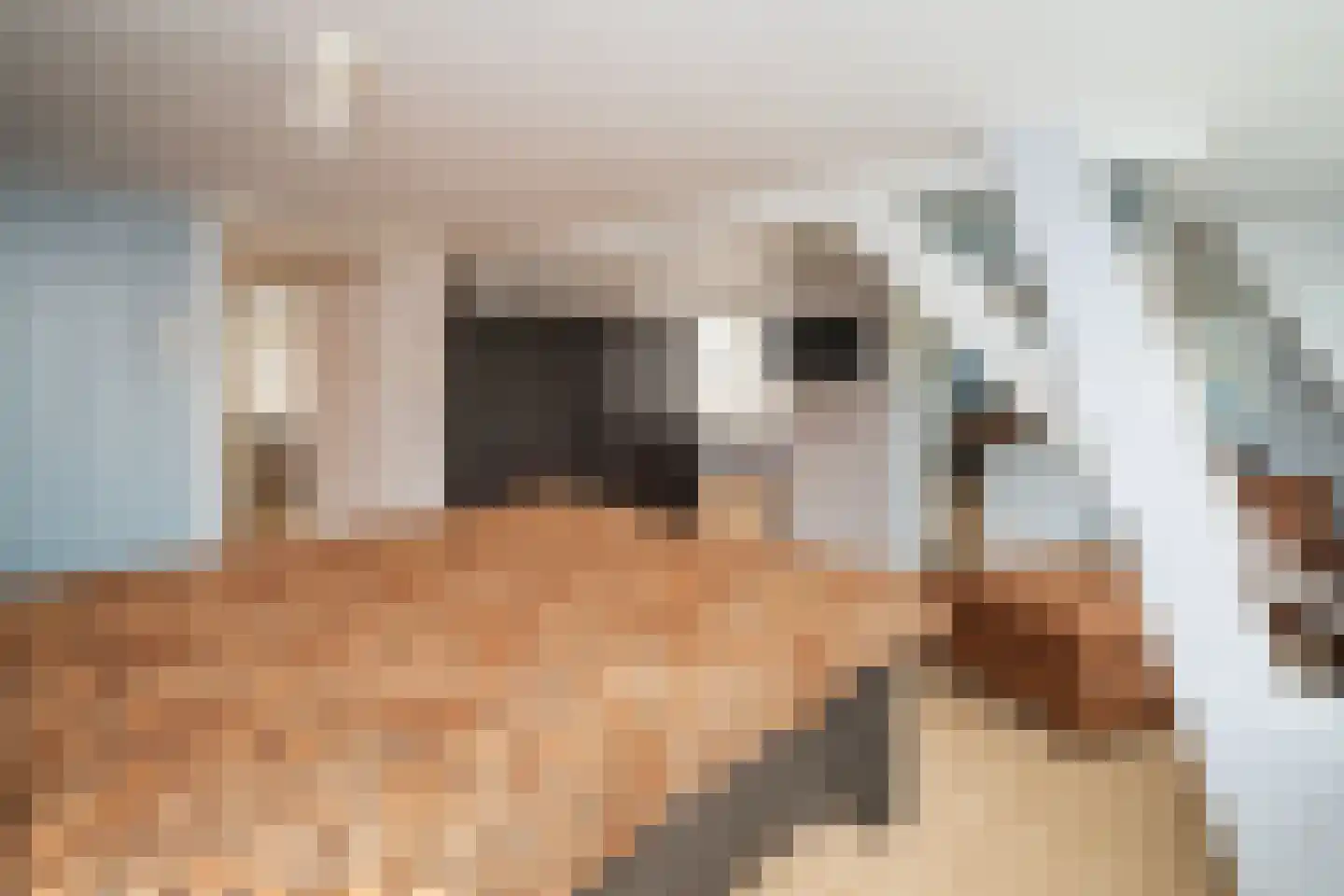 Kerkweg 50 Ridderkerk thumbnail 25