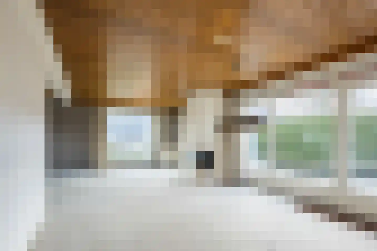 Kerkweg 50 Ruinerwold thumbnail 13