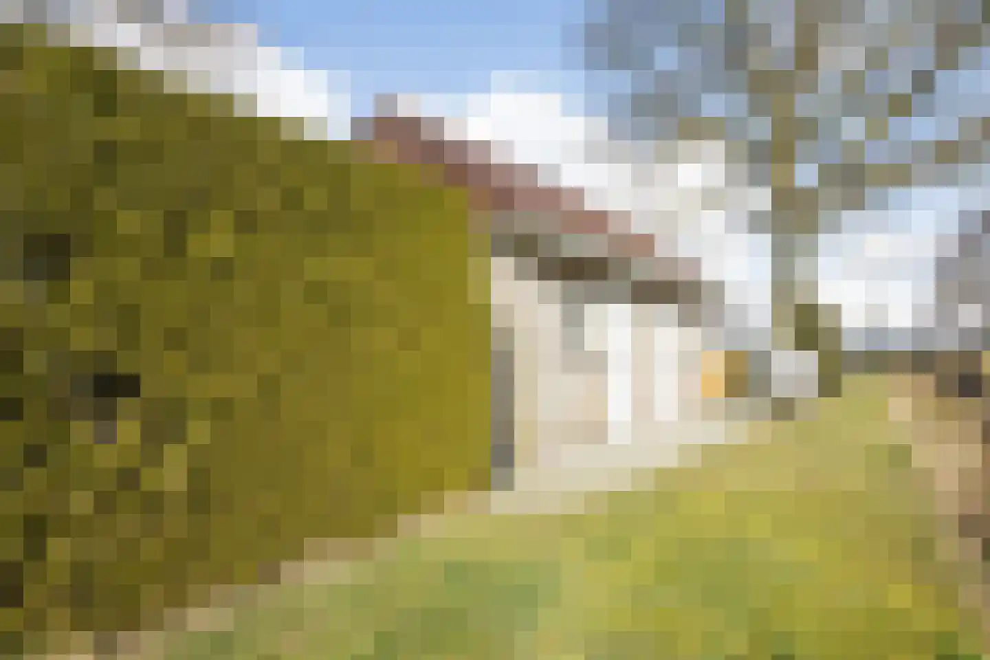 Kerkweg 50 Ruinerwold thumbnail 53