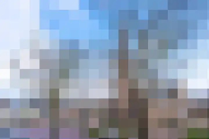 Kerkweg 50 Voorhout thumbnail 7