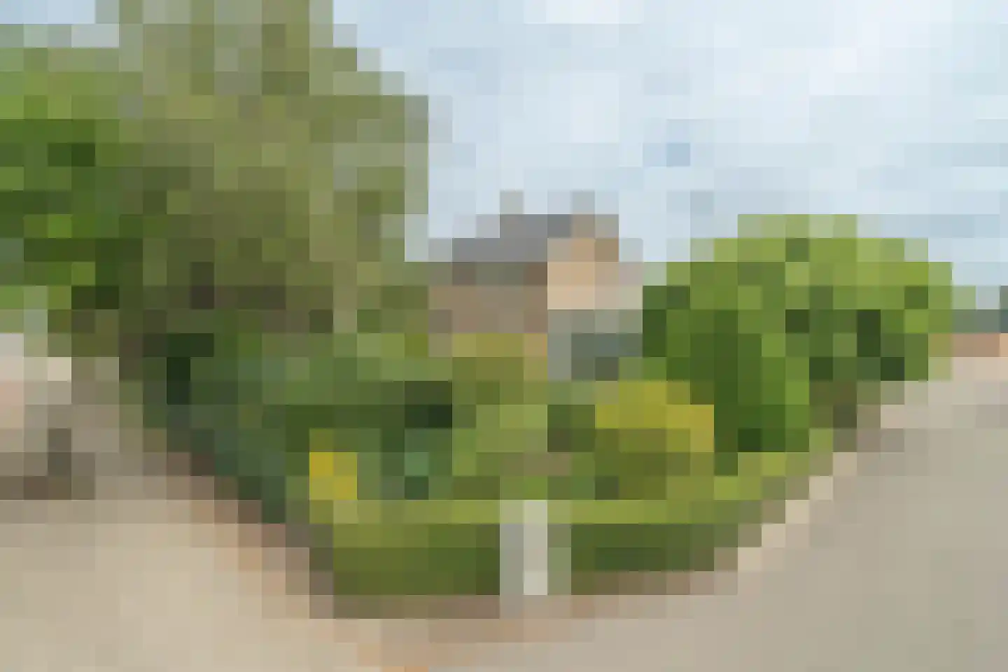 Kerkweg 50 Waarde thumbnail 9