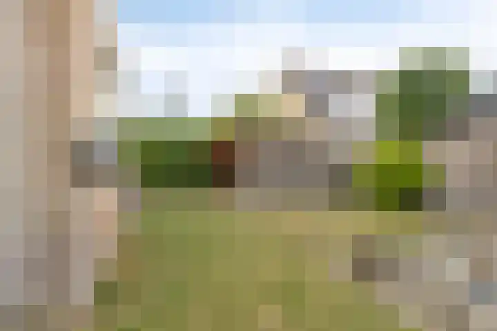 Kerkweg 50 Zuidland thumbnail 26