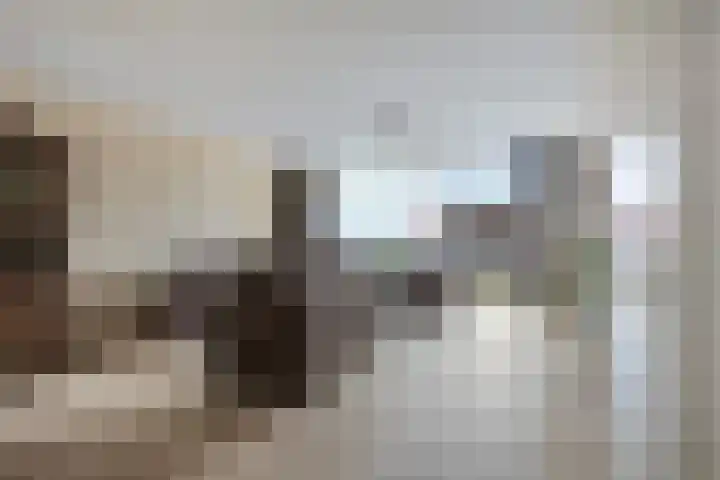 Kerkweg 50 Zuidland thumbnail 6