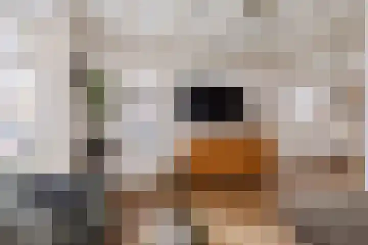 Kerkweg 51 Leek thumbnail 10