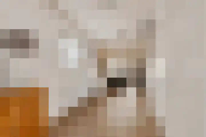 Kerkweg 51 Leek thumbnail 11