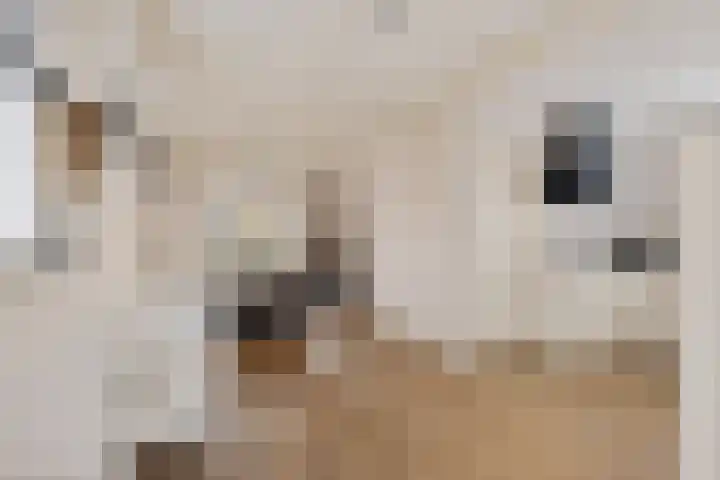 Kerkweg 51 Leek thumbnail 12
