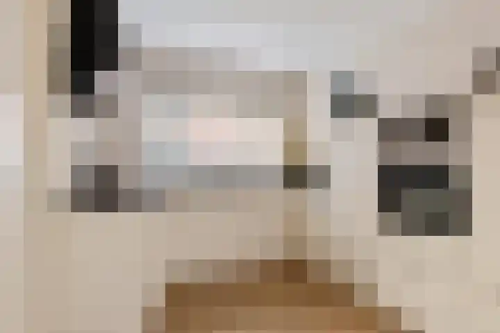 Kerkweg 51 Leek thumbnail 16