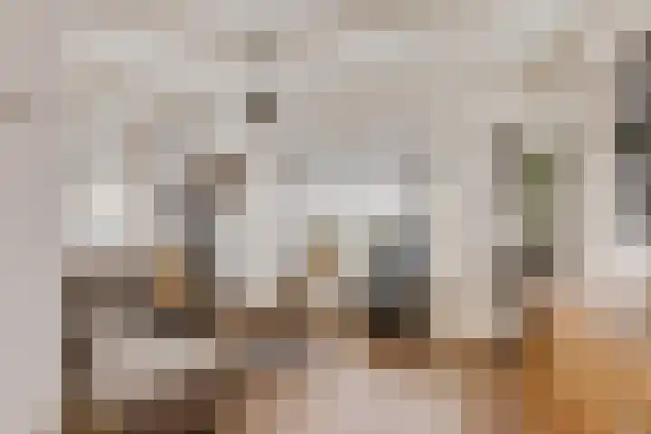 Kerkweg 51 Leek thumbnail 8