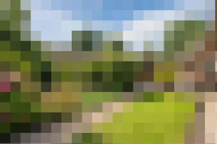 Kerkweg 52 a Giethoorn thumbnail 56