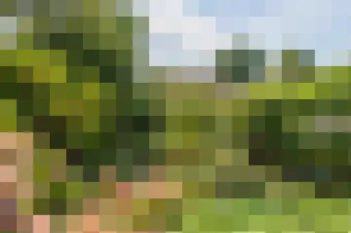 Kerkweg 52 a Giethoorn thumbnail 6
