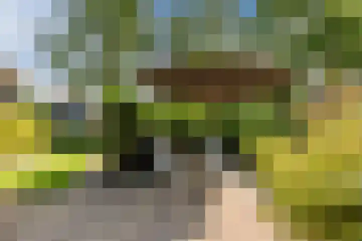 Kerkweg 52 a Giethoorn thumbnail 63