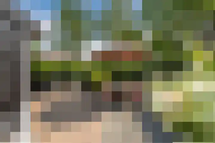 Kerkweg 52 a Giethoorn thumbnail 65
