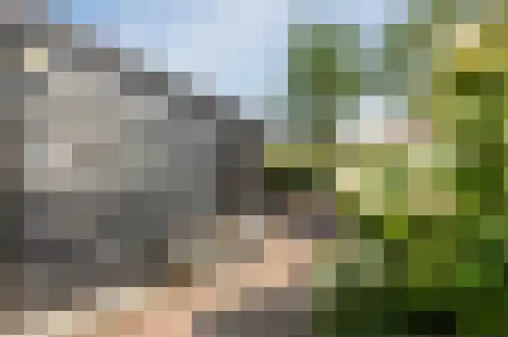 Kerkweg 52 a Giethoorn thumbnail 66