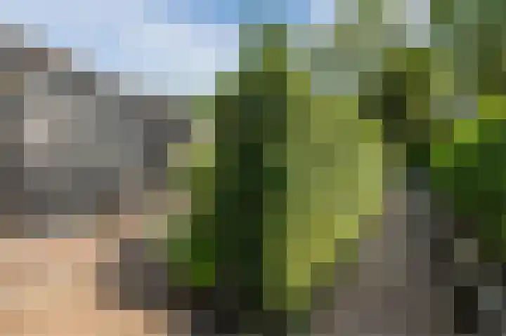 Kerkweg 52 a Giethoorn thumbnail 67