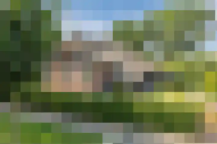 Kerkweg 52 a Giethoorn thumbnail 68