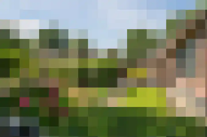 Kerkweg 52 a Giethoorn thumbnail 7