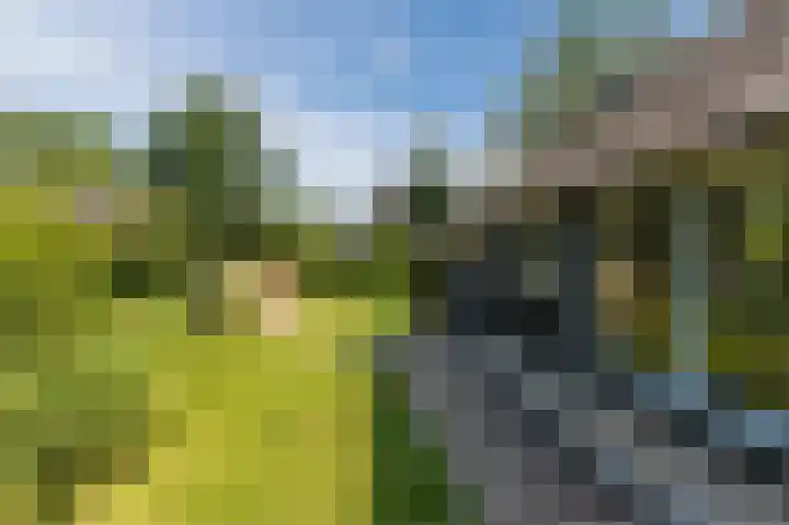 Kerkweg 52 a Giethoorn thumbnail 72