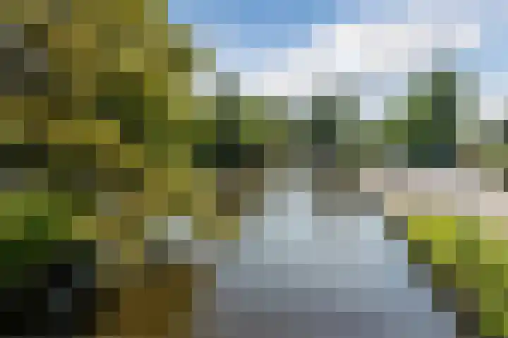 Kerkweg 52 a Giethoorn thumbnail 77
