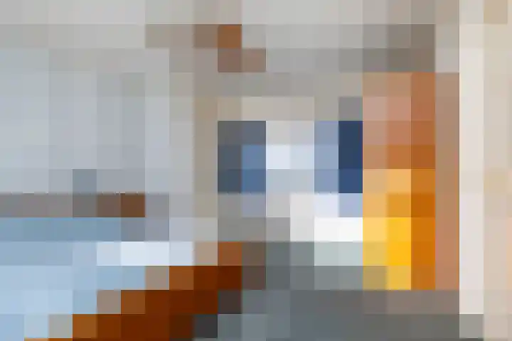 Kerkweg 52 A Wezep thumbnail 25