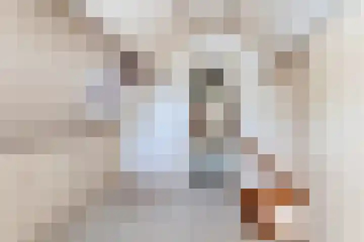 Kerkweg 52 A Wezep thumbnail 27