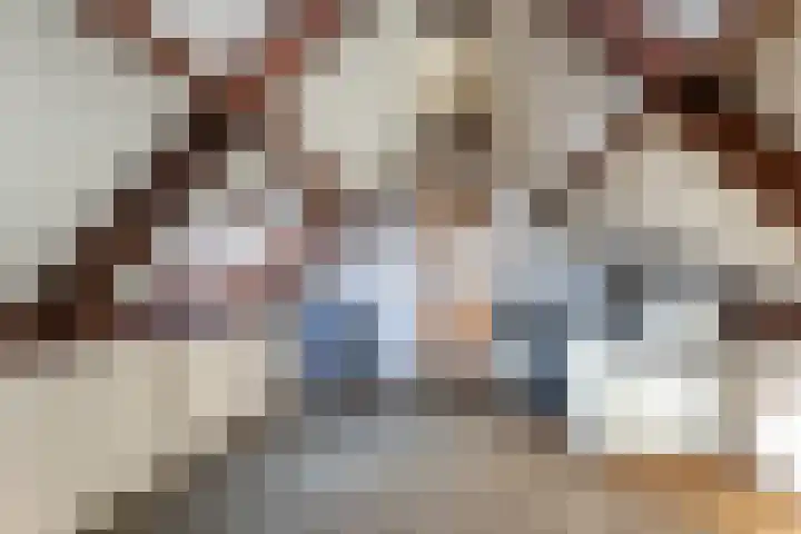 Kerkweg 52 A Wezep thumbnail 29