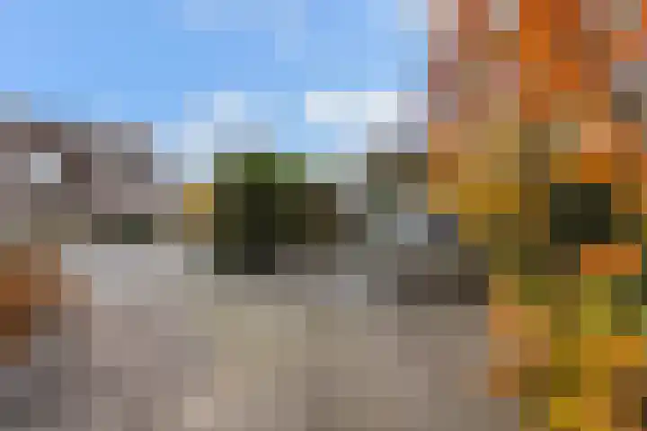 Kerkweg 52 A Wezep thumbnail 33