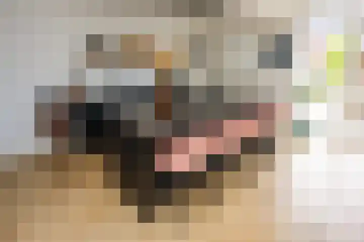 Kerkweg 52 Ede thumbnail 14